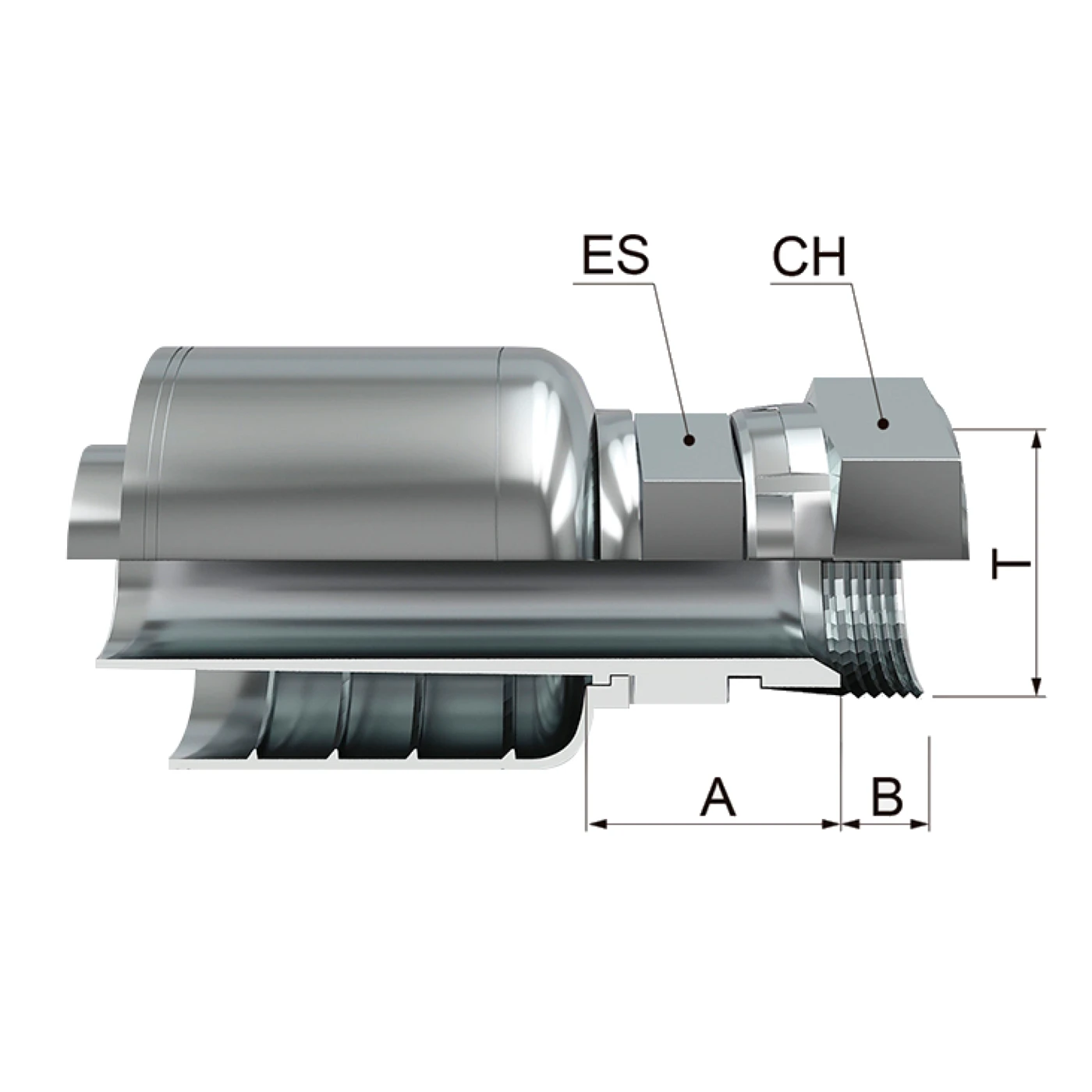 HEMBRA GIRATORIA RECTA JIC 37° ( FKFJ ) ( HANJ - HYNJ )