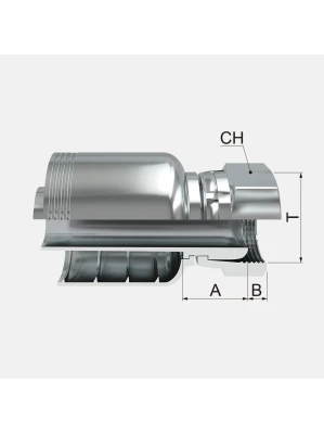 HEMBRA GIRATORIA RECTA BSP ( FJBPF )